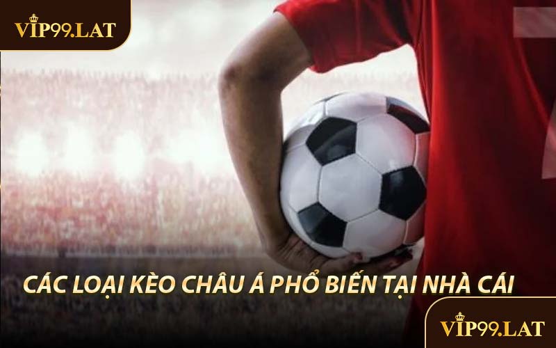 Các Loại Kèo Châu Á Phổ Biến Tại Nền Tảng