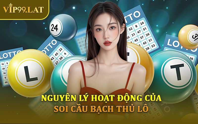 Nguyên Lý Hoạt Động Của Soi Cầu Bạch Thủ Lô